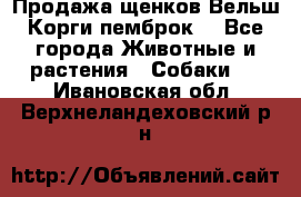 Продажа щенков Вельш Корги пемброк  - Все города Животные и растения » Собаки   . Ивановская обл.,Верхнеландеховский р-н
